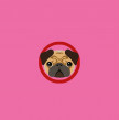 Pop-Upkort Pug